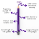 Writing Pencils Classroom Pack of 32 - Age 6-9