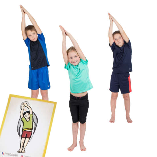 PedaYoga Pose Sheets