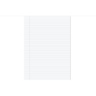 Ruled Foolscap Fly Exam Paper