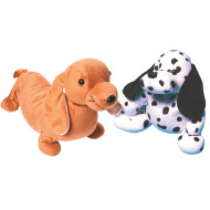 Teacher's Pet Dachshund