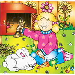 Looking After Our Pets Set Of 4