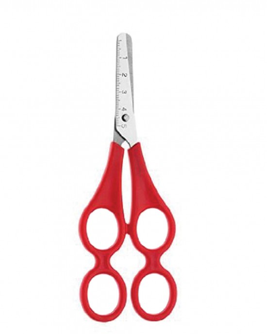 https://www.thelearningstore.ie/image/cache/catalog/20%20April/double-loop-training-scissors20547-3033-550x688h.jpg