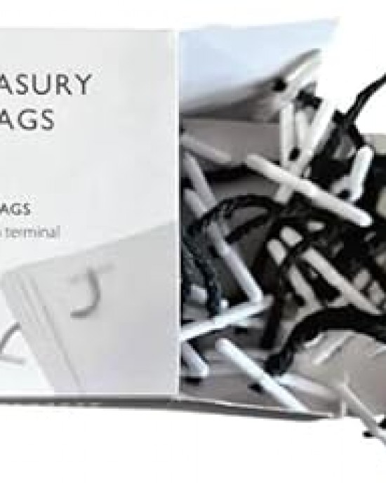 Plastic Treasury Tag 51mm