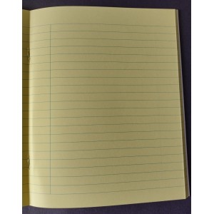 Viaual Aid Tinted Writing Copybook A11 Size