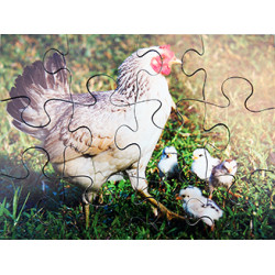 Farm Animal & Their Young Jigsaws