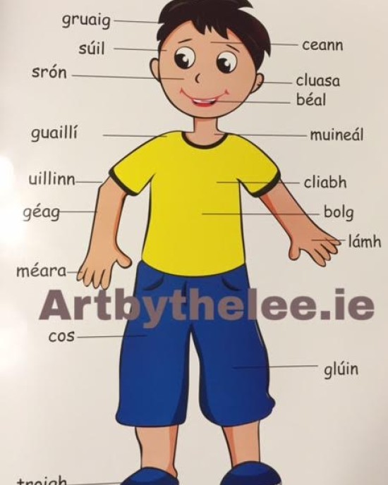 Irish Body Poster(Boy)