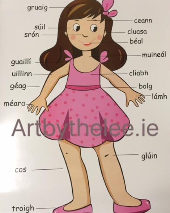 Irish Body Poster(Girl)