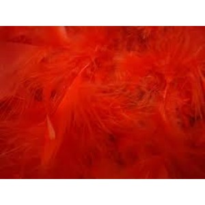 Feathers Single Colour Pack of 200