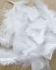 Feathers Single Colour Pack of 200