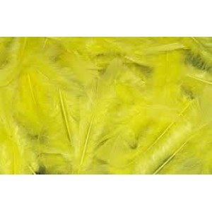 Feathers Single Colour Pack of 200