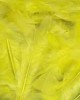 Feathers Single Colour Pack of 200