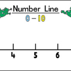Numberlines & Wall Charts