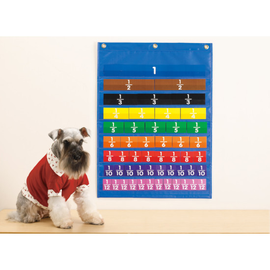 Equivalency Pocket Chart