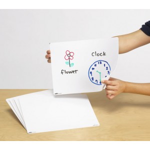 Drywipe Whiteboard Blank