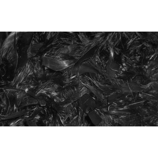 Feathers Single Colour Pack of 200